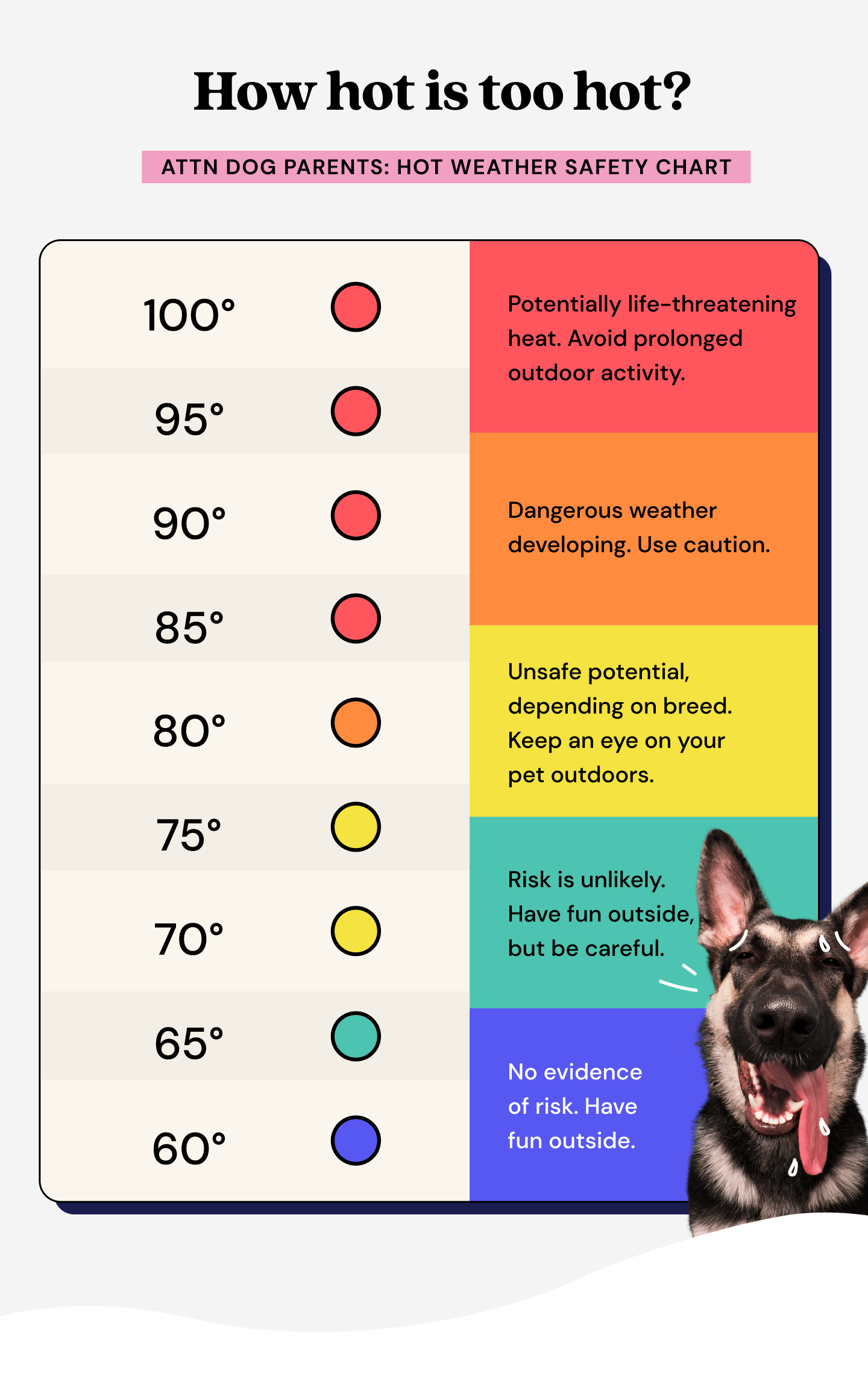 How hot is too hot for dogs?